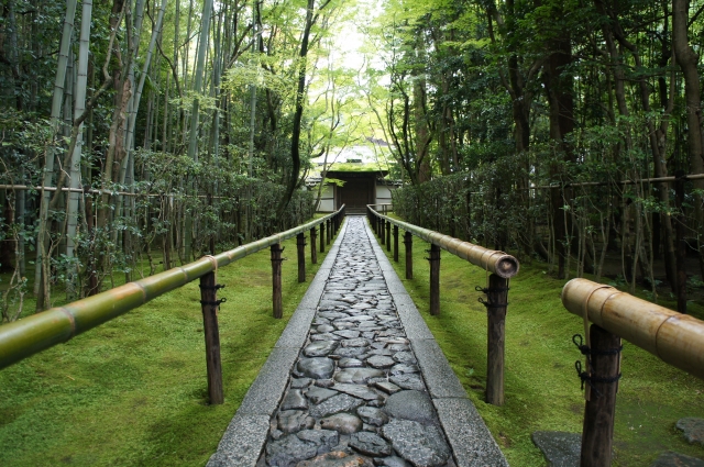 京都的大徳寺高桐院的石畳