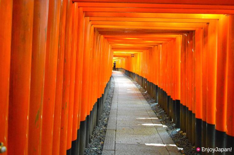 凌駕稻荷山的「千本鳥居」！日本的觀光景點人氣第一的京都「伏見稻荷大社」的魅力為何？