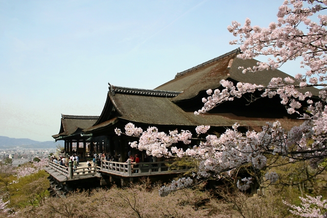 清水寺的櫻花