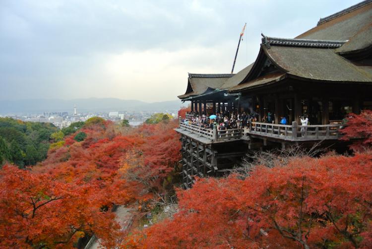 京都代表人氣觀光景點「清水寺」！體驗由世界文化遺產「清水的舞台」觀賞絕景吧！