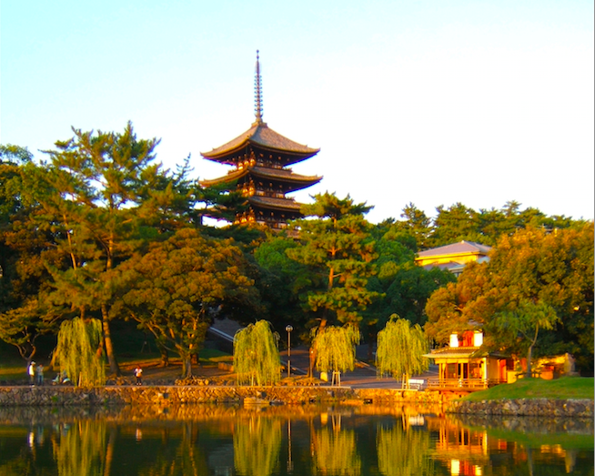 創建1300年的世界遺産奈良「興福寺」！千手観音、阿修羅像、五重塔等國寶齊聚一堂讓你目不暇接！