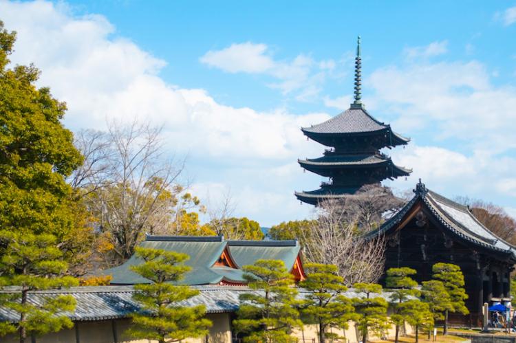 京都的世界遺産「東寺」的五重塔
