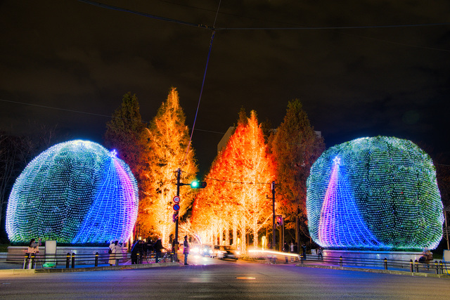 歡迎進入冬天京都的幻想世界！約80萬顆燈泡妝點成京都最大級「ROHM ILLUMINATION 2016」的活動資訊及特色大公開！