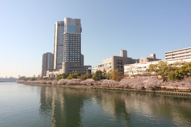 在櫻之宮公園看到的舊淀川沿岸的櫻花