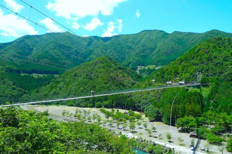 十津川村的日本最長谷瀨吊橋照片