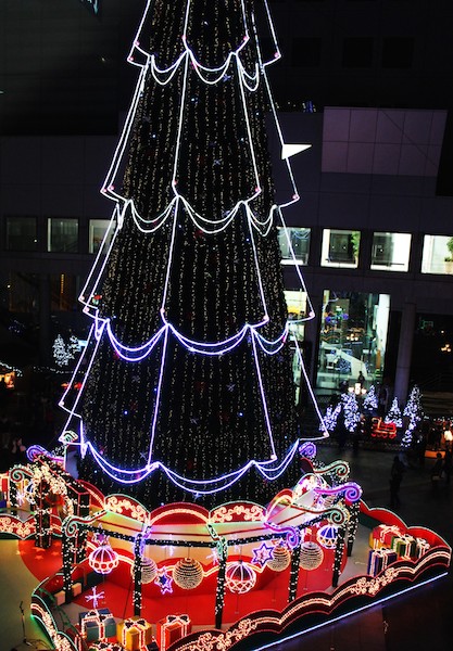 德國・聖誕市集的巨大聖誕樹